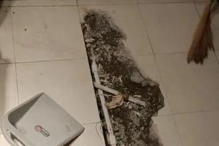 嘉禾卫生间漏水检测电话